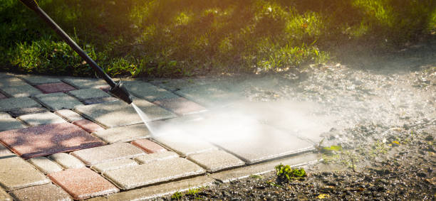 Best Animal Enclosure Cleaning  in Schofield Barracks, HI